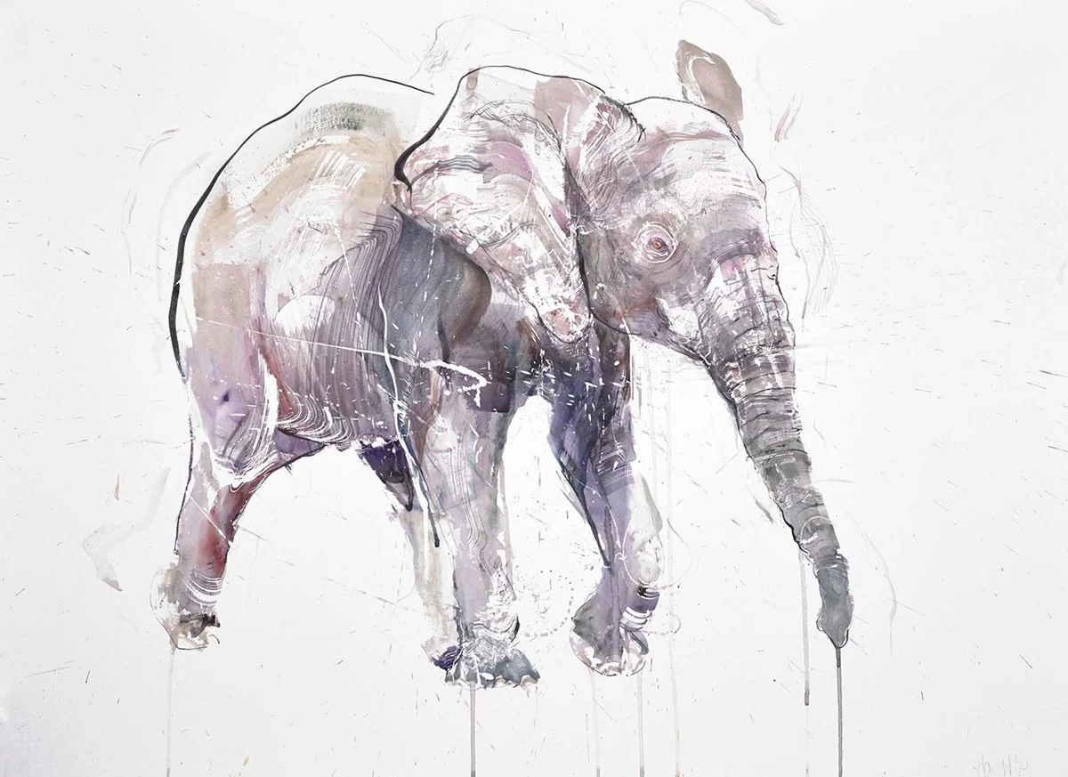 Young African Bull - Image 2