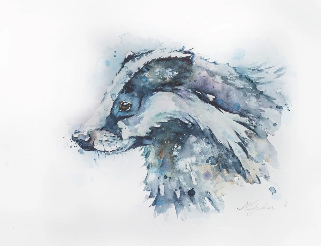 Young Badger Profile