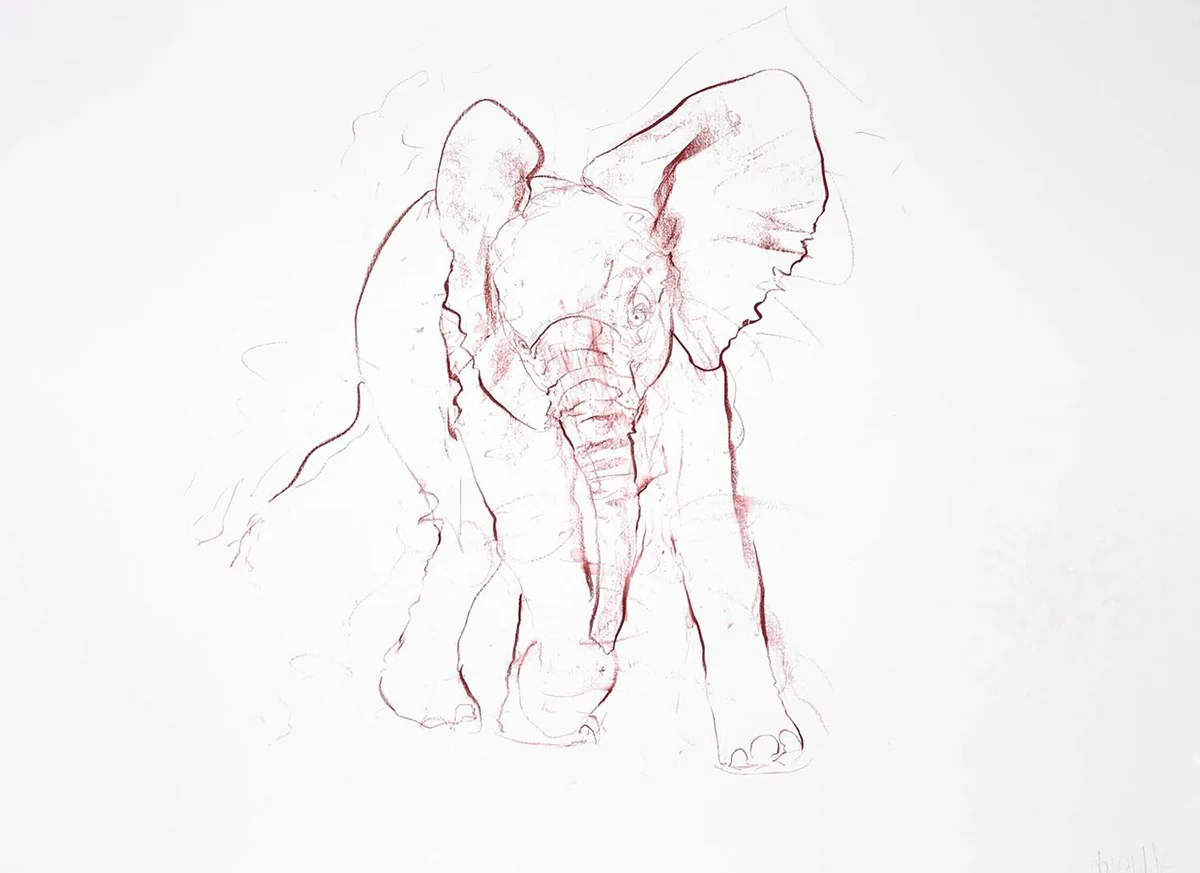 Young Elephant Sketch IV - Image 3