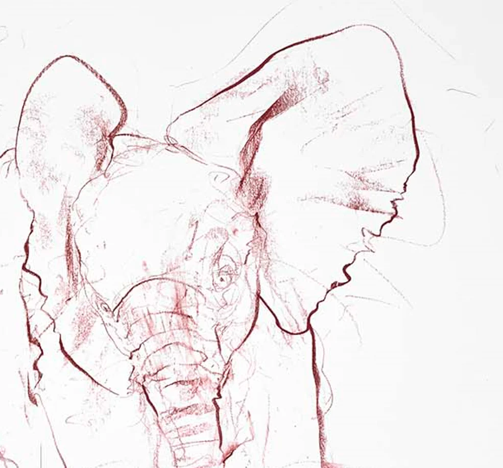Young Elephant Sketch IV - Image 4