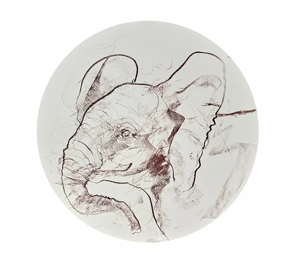 Young Elephant Sketch XV