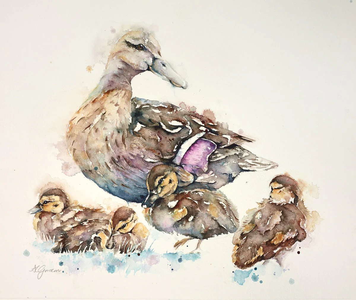 Young Mallard Family - Image 2