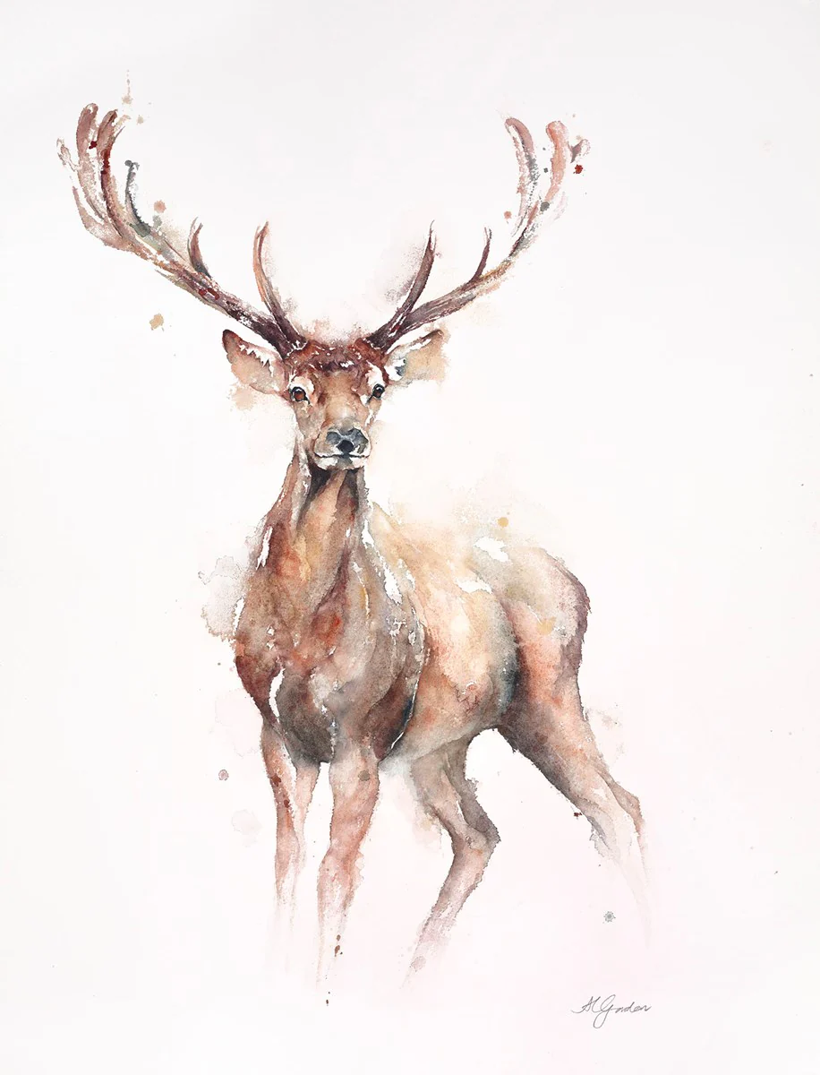 Young Red Stag - Image 2