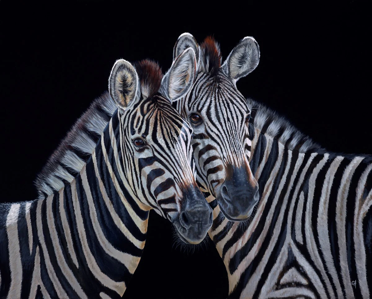 Zebra II